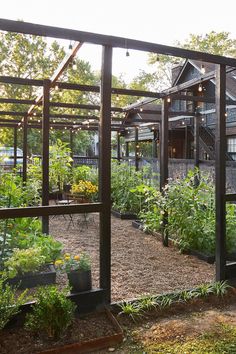 an outdoor vegetable garden in front of a house