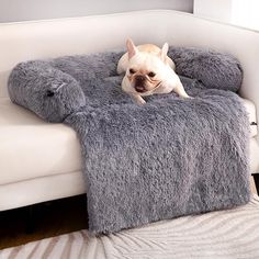 a small dog laying on top of a fluffy gray pillow