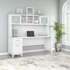 a white computer desk sitting next to a potted plant on top of a rug