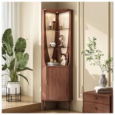 a tall wooden cabinet sitting next to a plant in a living room filled with furniture