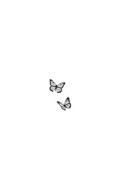 two black and white butterflies flying in the sky