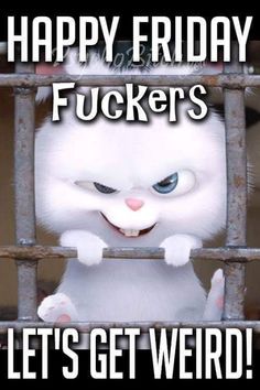 a white cat with blue eyes in a cage saying happy friday fockers let's get weird