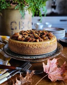 a cake sitting on top of a plate next to a potted plant and fork