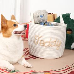 a dog laying on the floor next to a basket with teddy bears in it,