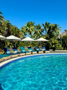 an empty swimming pool with lounge chairs and umbrellas in the shade, surrounded by palm trees