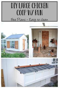 diy large chicken coop with free plans easy to clean