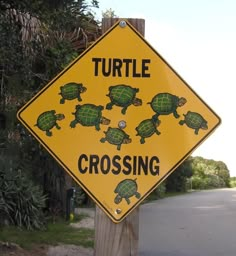 a yellow sign that says turtle crossing with green turtles on it's sides and black background