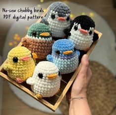 small crocheted birds sitting in a wooden box on a person's hand