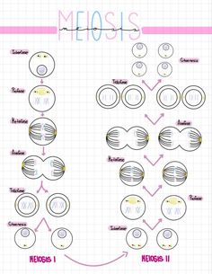 the diagram shows how to make an eye chart