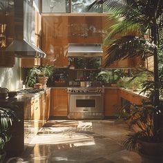 a kitchen with lots of plants in it