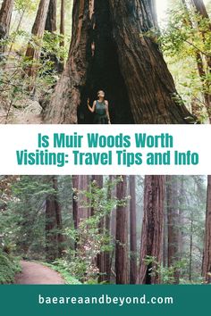 Woman in Muir woods. Mount Tamalpais, Stinson Beach, Redwood Tree, California Photography, Redwood Forest