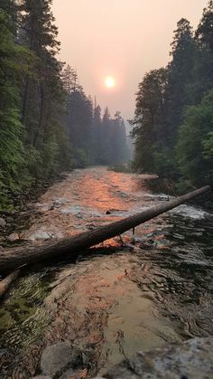 the sun is setting over a river in the woods