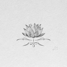 a black and white drawing of a lotus flower