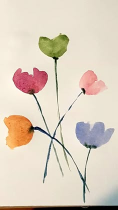 four watercolor flowers on a white background