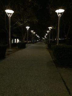 an empty sidewalk at night with street lamps on either side and bushes in the background