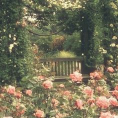 a park bench surrounded by pink roses and greenery in the foreground, with an arbor behind it