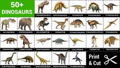 an image of dinosaurs on postage stamps with the words dinosaurs and cat's