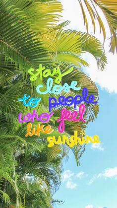 there is a palm tree with the words stay close to people who get like sunshine