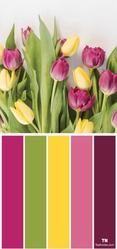 a bunch of flowers that are in front of a color palette with the words tulips on it