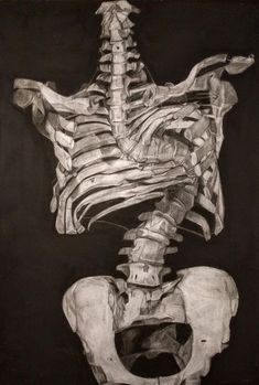 a drawing of a human skeleton is shown in this black and white photo, with the ribs exposed