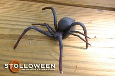 a large black spider sitting on top of a wooden floor