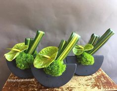 three vases with plants in them sitting on a table