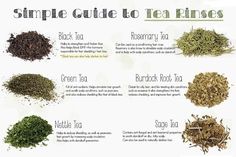 Tea Rinse For Hair Growth, Hair Tea Rinse, Guide To Tea, Tea Hair Rinse, Diy Hair Products Recipes, Herbal Hair Rinse, Dry Dull Hair, Hair Growth Regimen, Green Tea For Hair