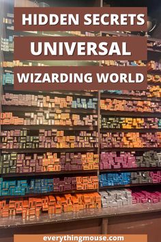 the hidden secrets of universal wizarding world with text overlay that reads, hidden secrets universal wizarding world