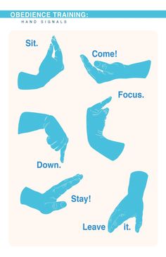 an image of hand signals with words in blue