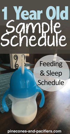 Baby Wise, Baby Routine, Toddler Schedule, Feeding Baby, Baby Activities, Sleep Schedule, Toddler Food