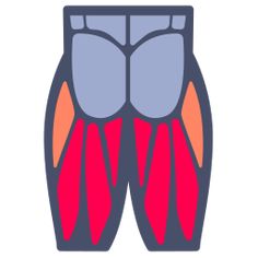 an image of the inside of a man's leg with muscles highlighted in blue and orange