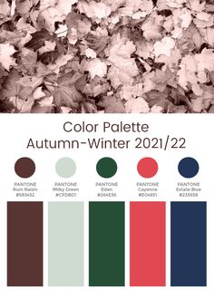 the color palette for autumn - winter 2012 / 12