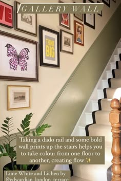 a staircase with pictures on the wall above it and a plant in a pot below