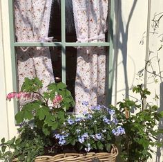 a basket filled with flowers sitting on top of a window sill next to a potted plant