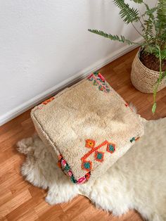 a white rug on the floor next to a potted plant