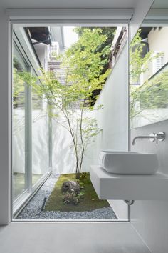 a white bathroom with a tree in the center and a sink on the other side