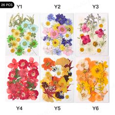 four different types of flowers are shown on the same page, and each has an image of