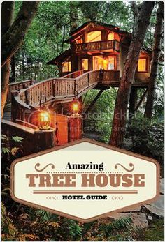 the amazing tree house hotel guide