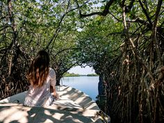 a woman sitting on top of a boat in the middle of some trees and water