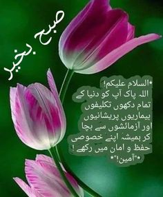 two pink tulips with the words in arabic on them and an image of green background