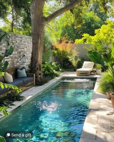 a small pool surrounded by greenery and trees in the middle of a backyard area