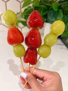 a person is holding up some fruit on sticks with grapes, strawberries and kiwis