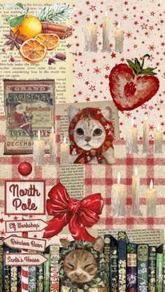 #Christmas #cats Christmas Cat Wallpaper Iphone, Christmas Aesthetic Cat, Christmas Cats Wallpaper, Vintage Christmas Aesthetic Wallpaper, Christmas Cat Wallpaper, Aesthetic Cat Wallpaper, Potential Wallpaper, Christmas Core, Folk Christmas