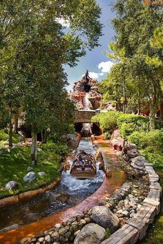 a small boat traveling down a river next to a lush green forest filled with trees