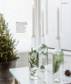 three bottles filled with plants sitting on top of a table