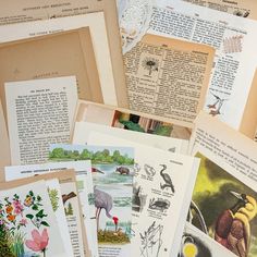 many different types of birds and plants are on display in this pile, including books