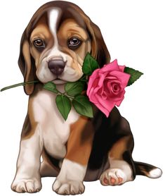 a brown and white puppy holding a pink rose in it's mouth while sitting on the ground