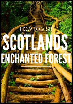 a wooden bridge in the woods with text overlay reading how to visit scotland's enchanted forest