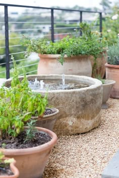 there are many potted plants on the balcony and one has water coming from it