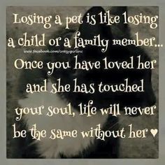 a black and white photo with a quote about losing a pet is like losing a child or a family member once you have loved her and she has touched your soul, life will never be